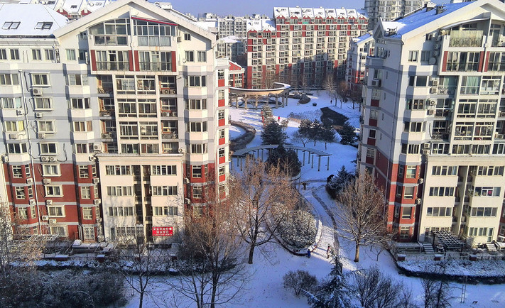 实景图