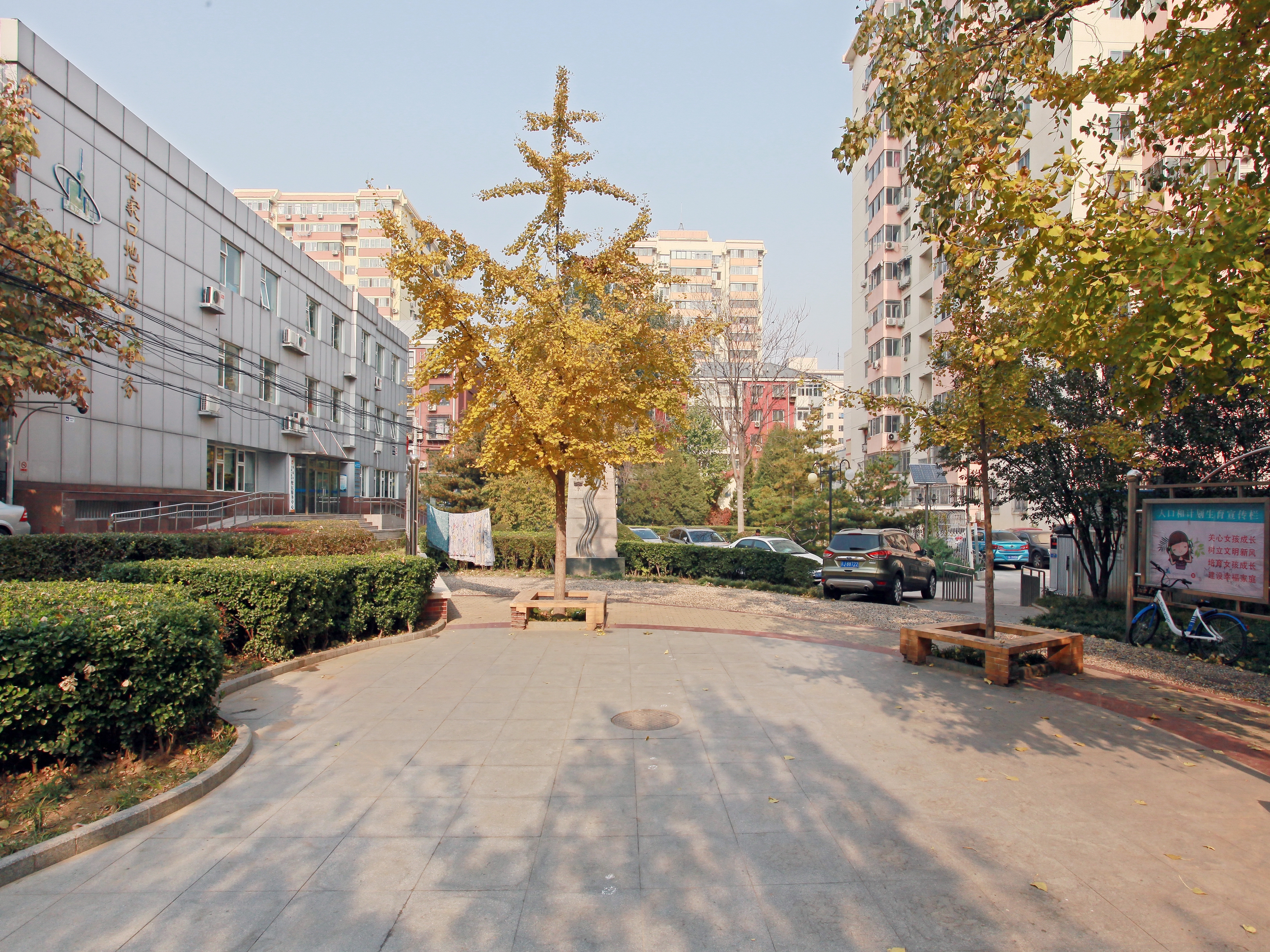 实景图