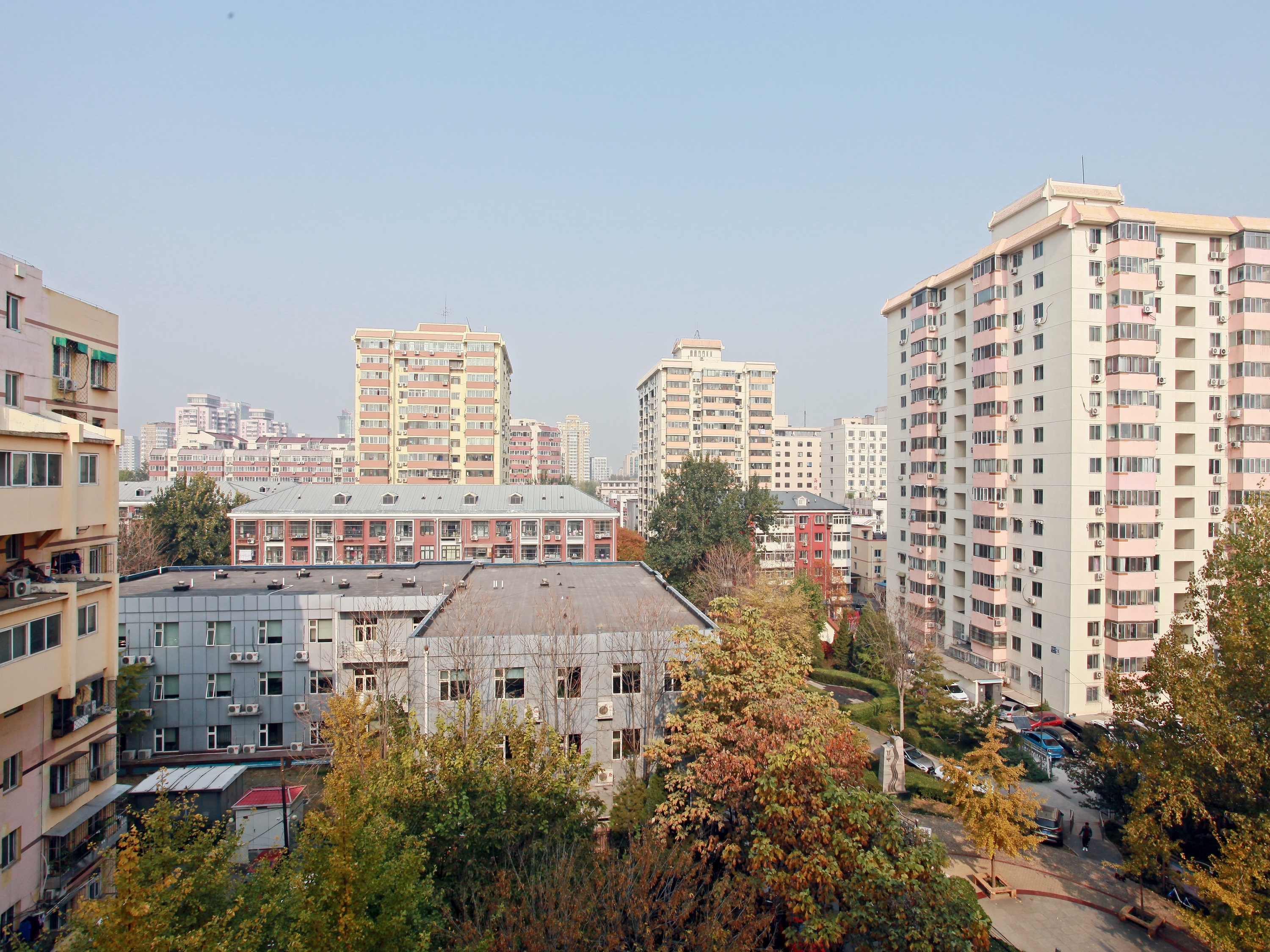实景图