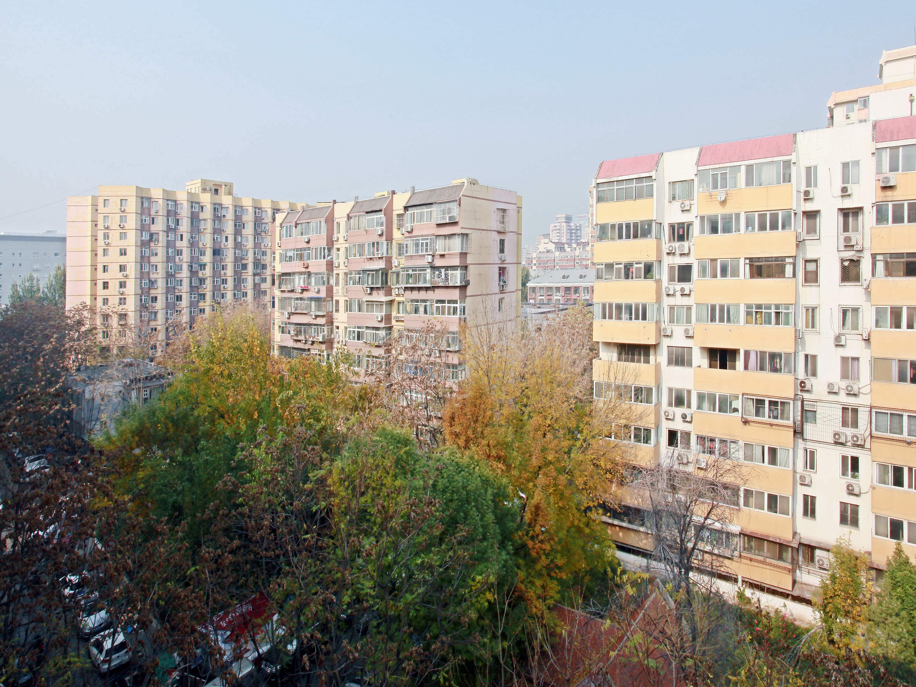 实景图