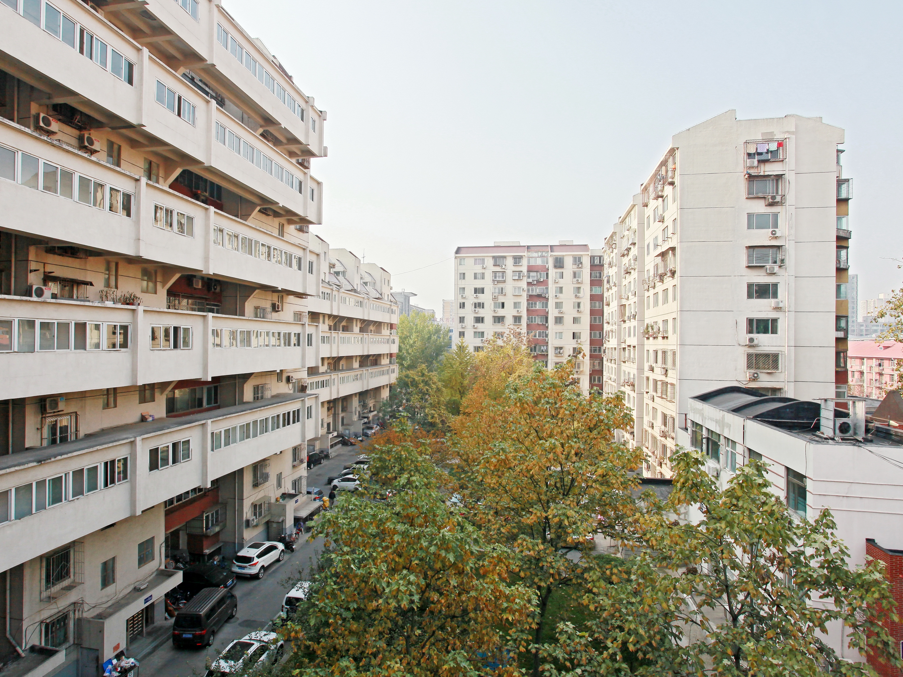 实景图