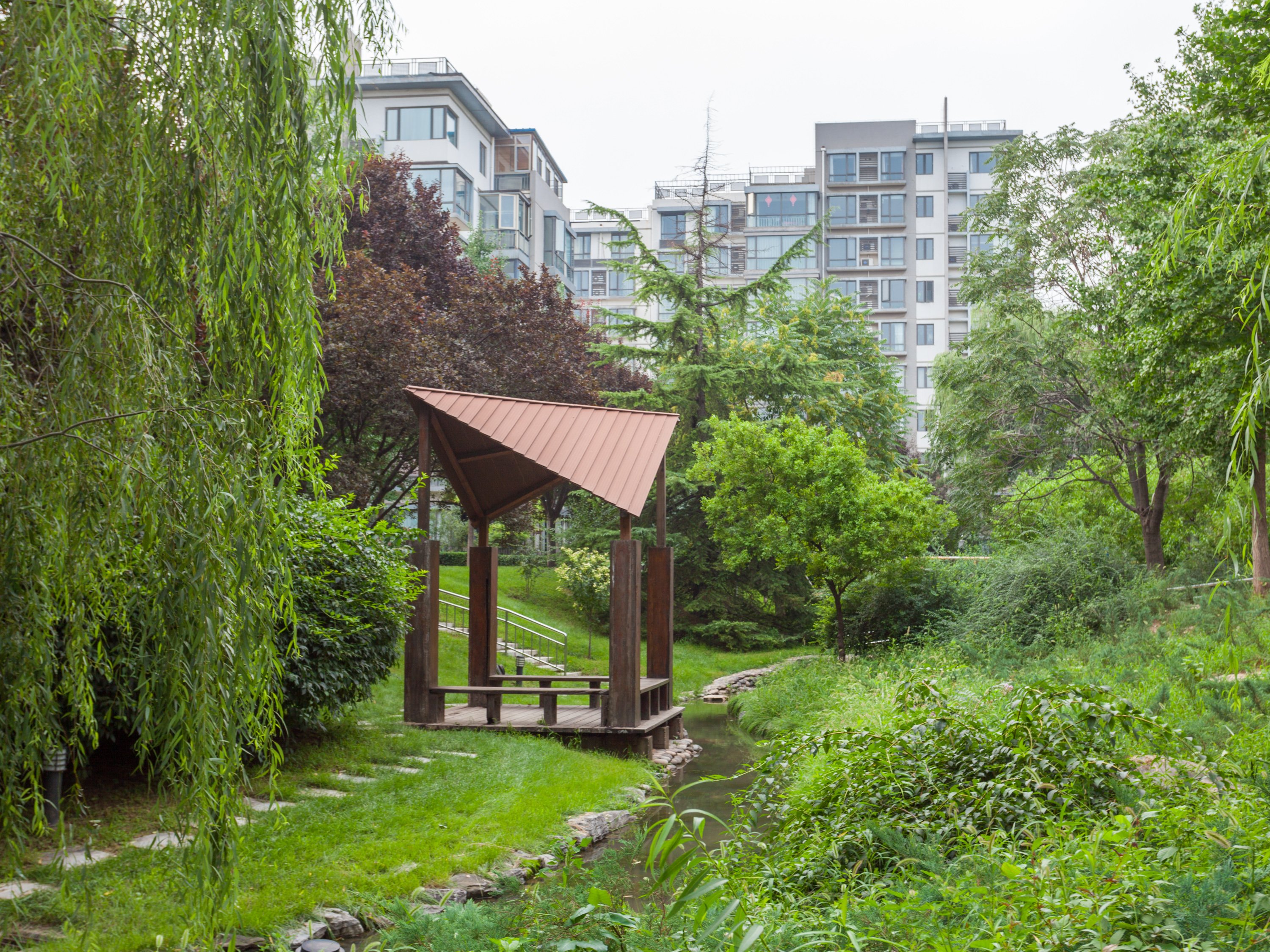 实景图
