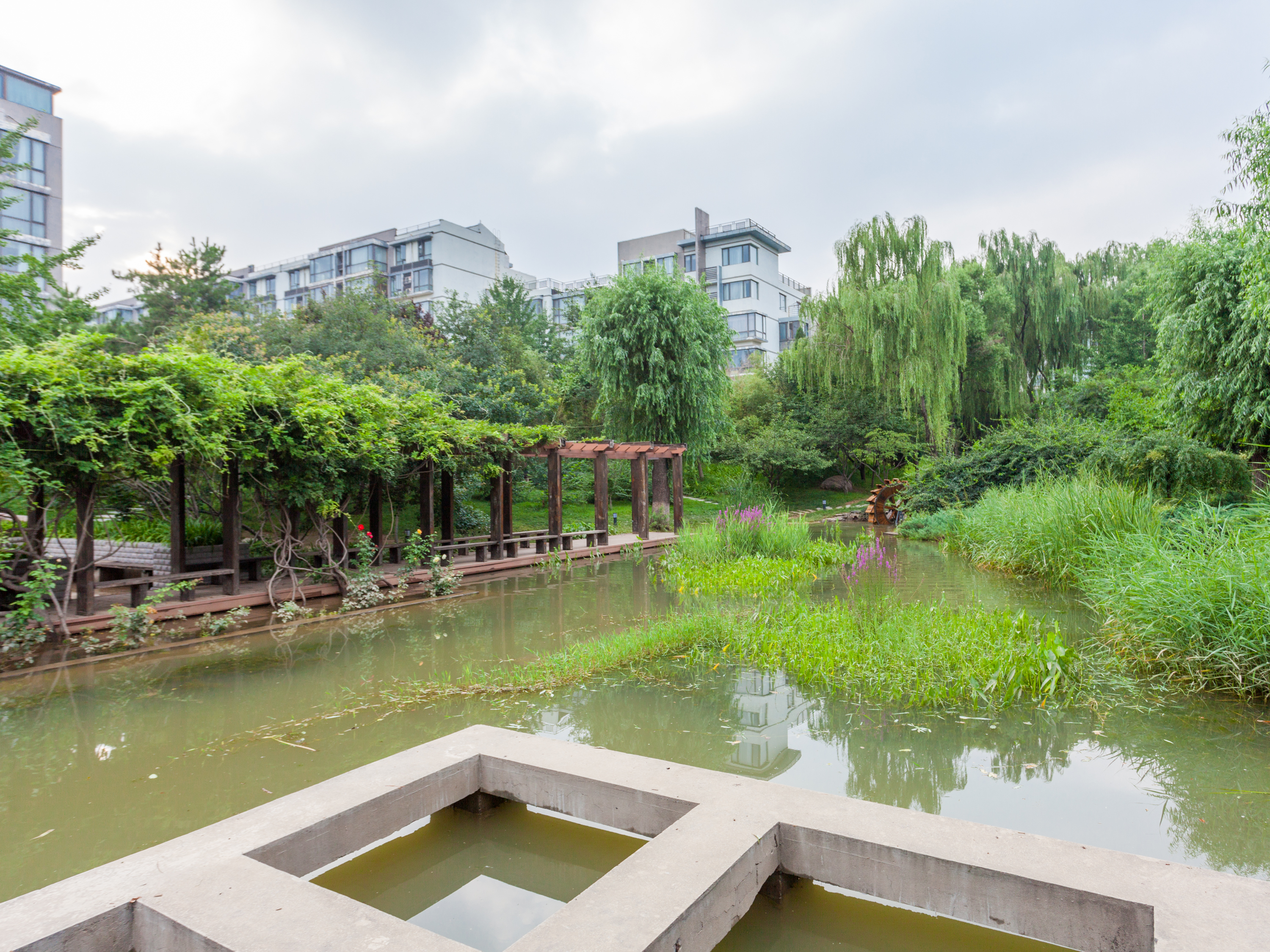实景图