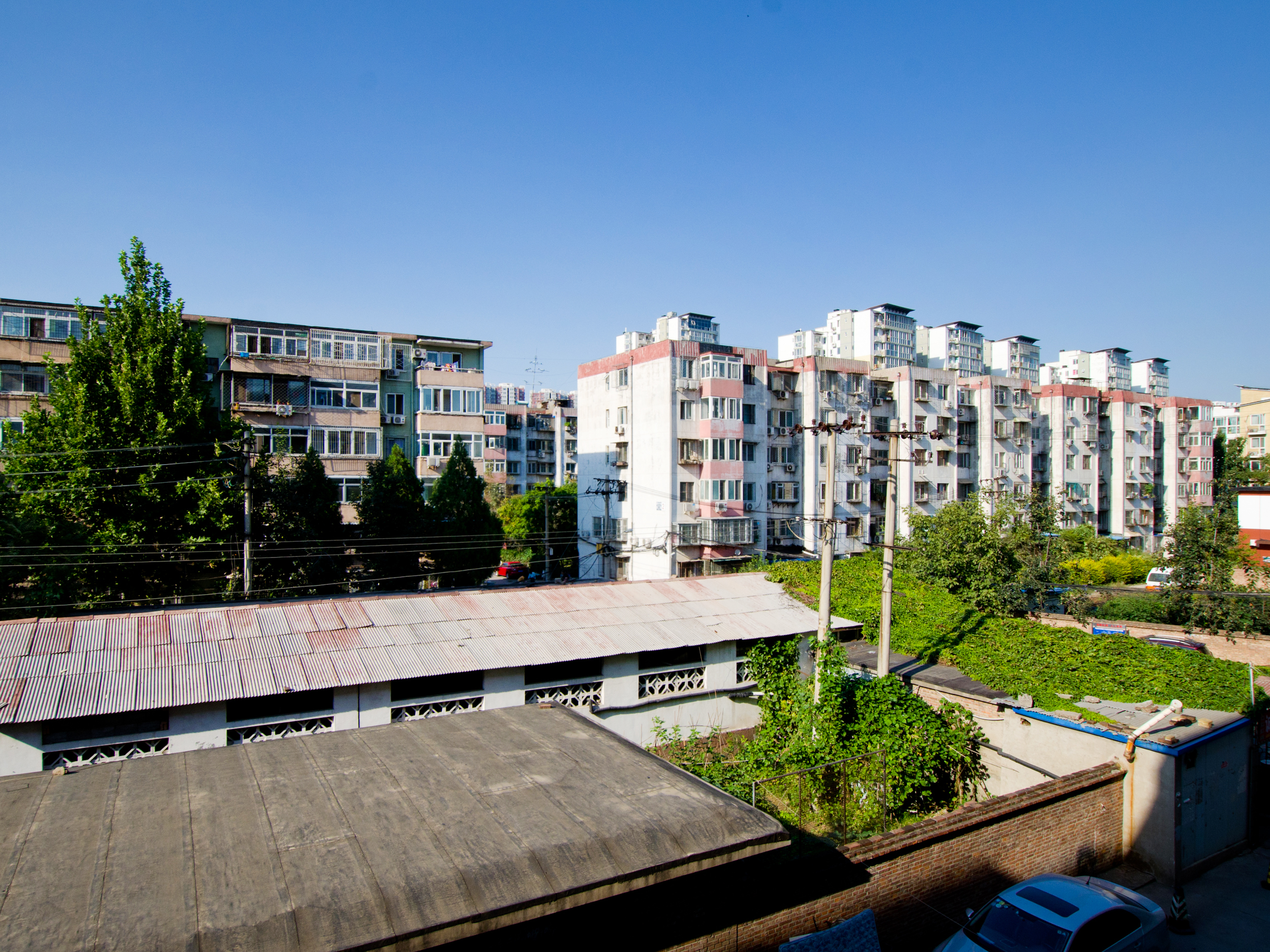 实景图