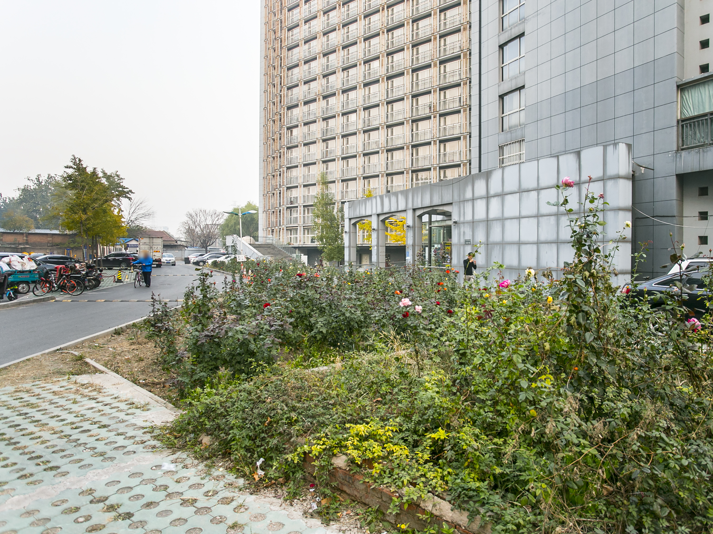 实景图
