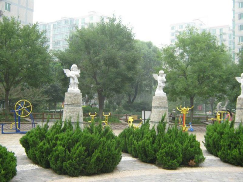 实景图
