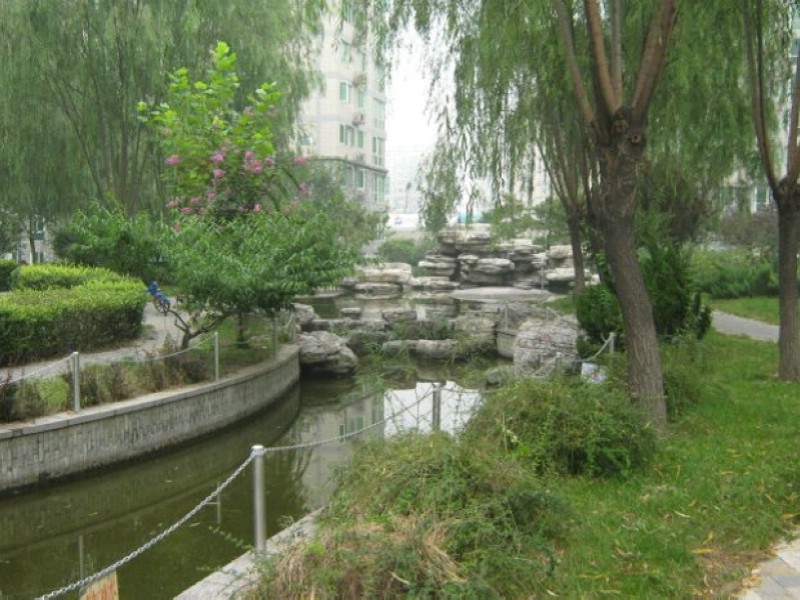 实景图