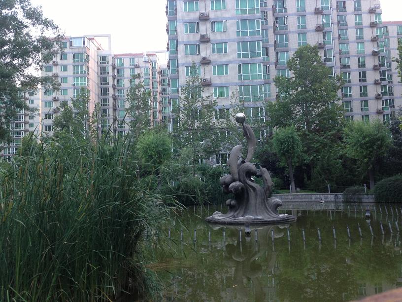 实景图