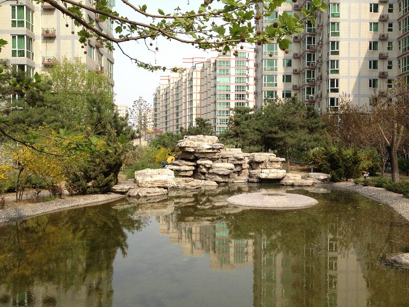 实景图