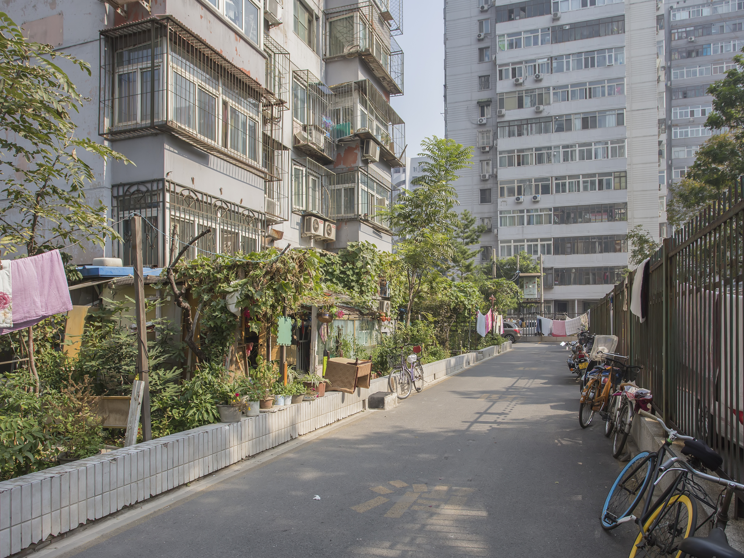 实景图