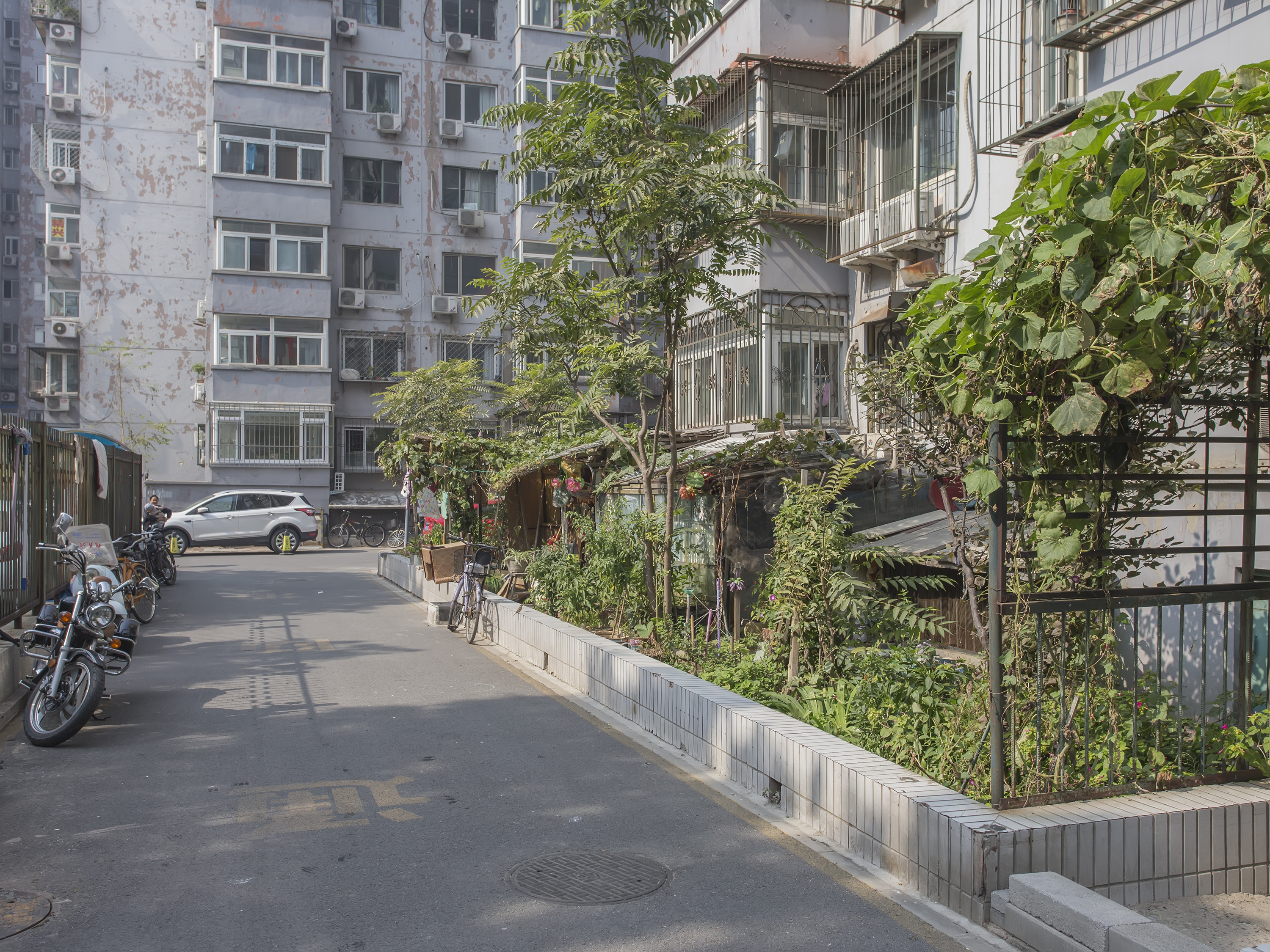 实景图