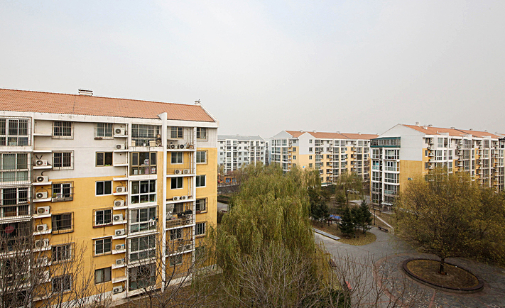实景图