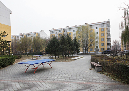 实景图