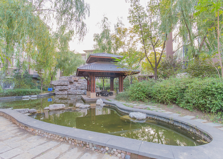 实景图