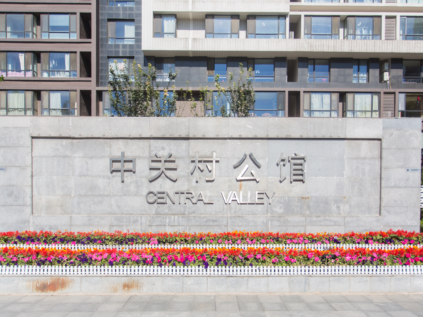 实景图
