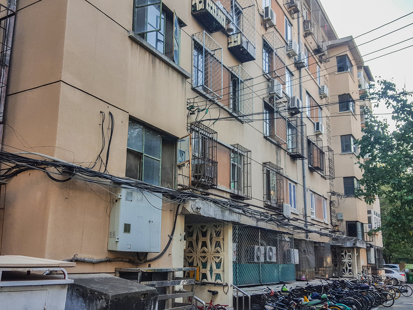 实景图