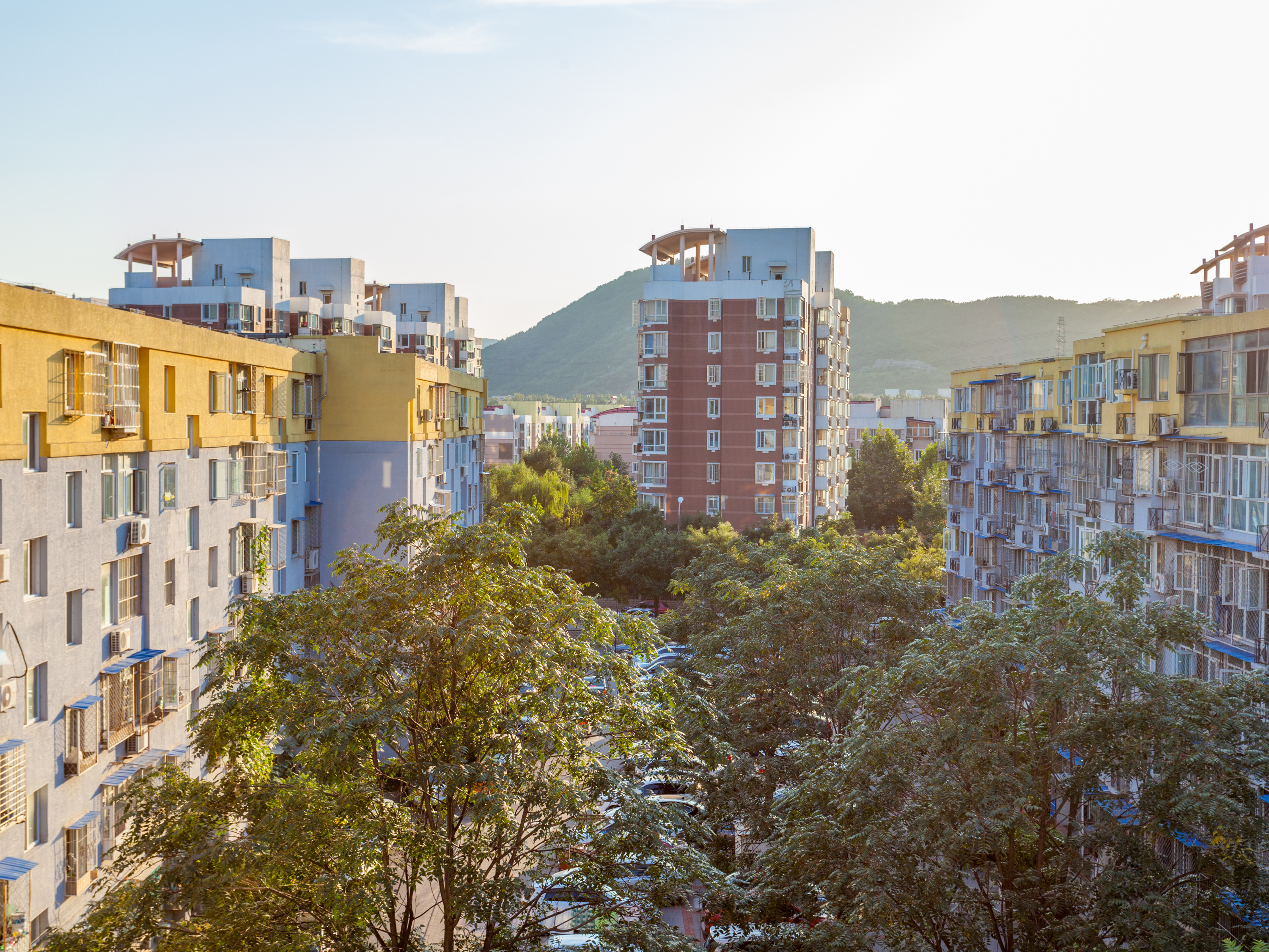 实景图