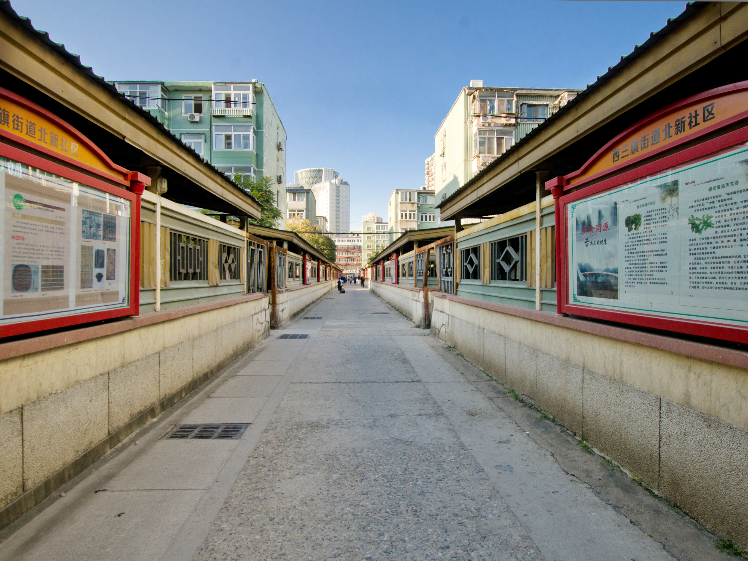 实景图
