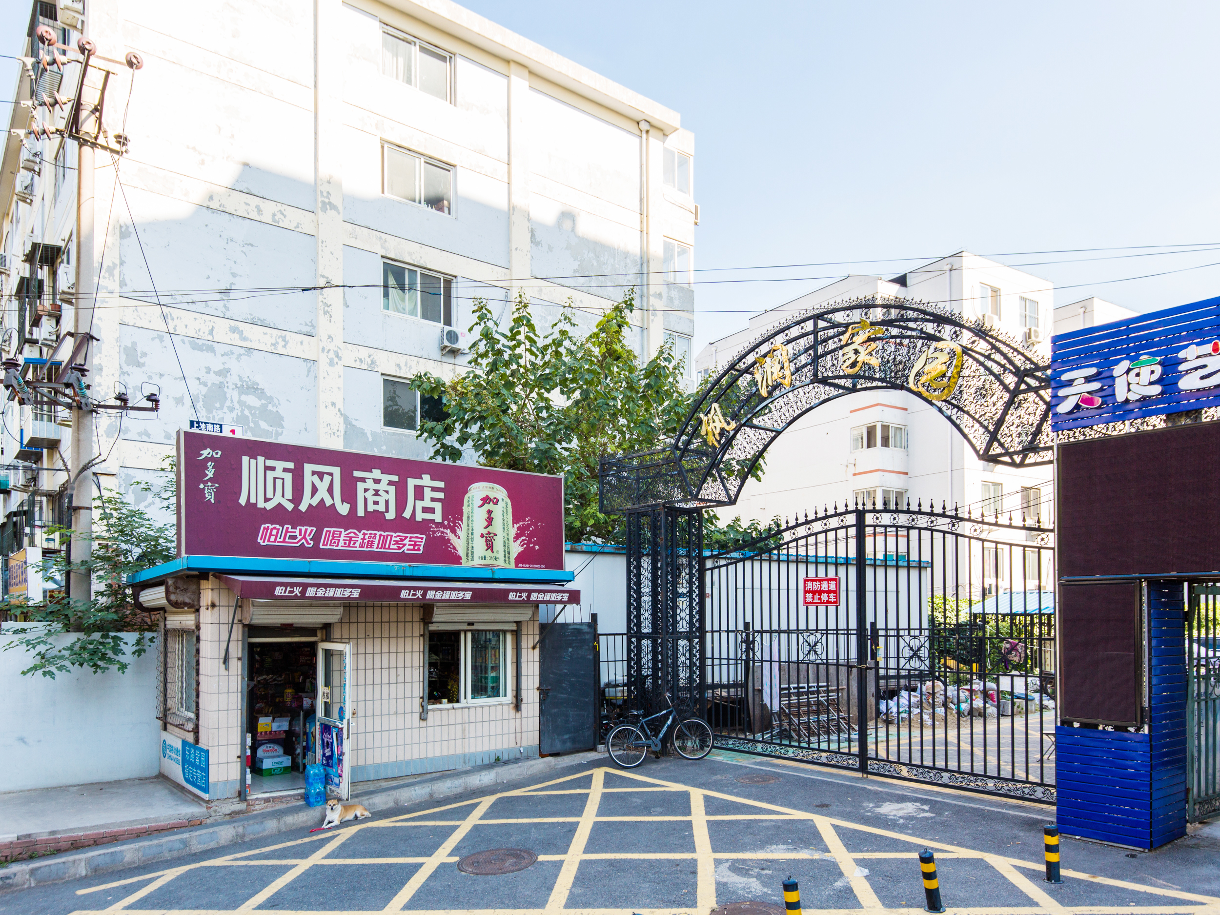 实景图