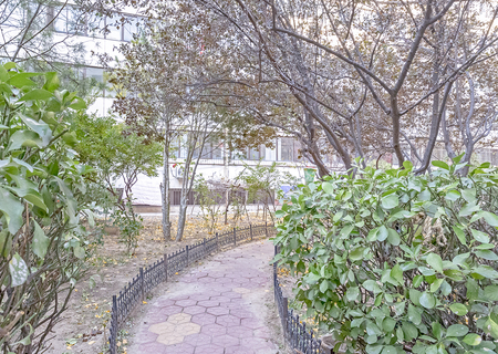 实景图