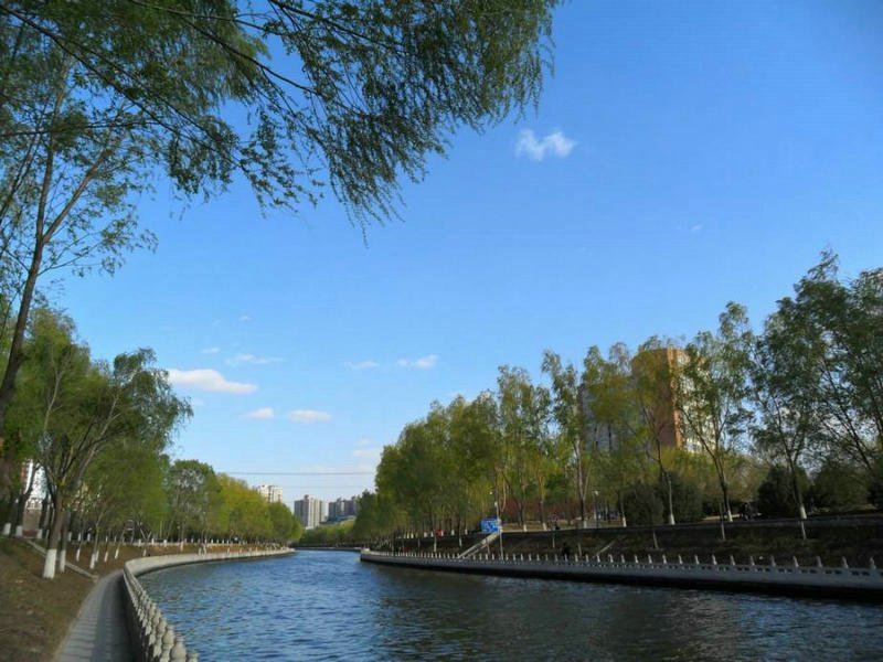 实景图