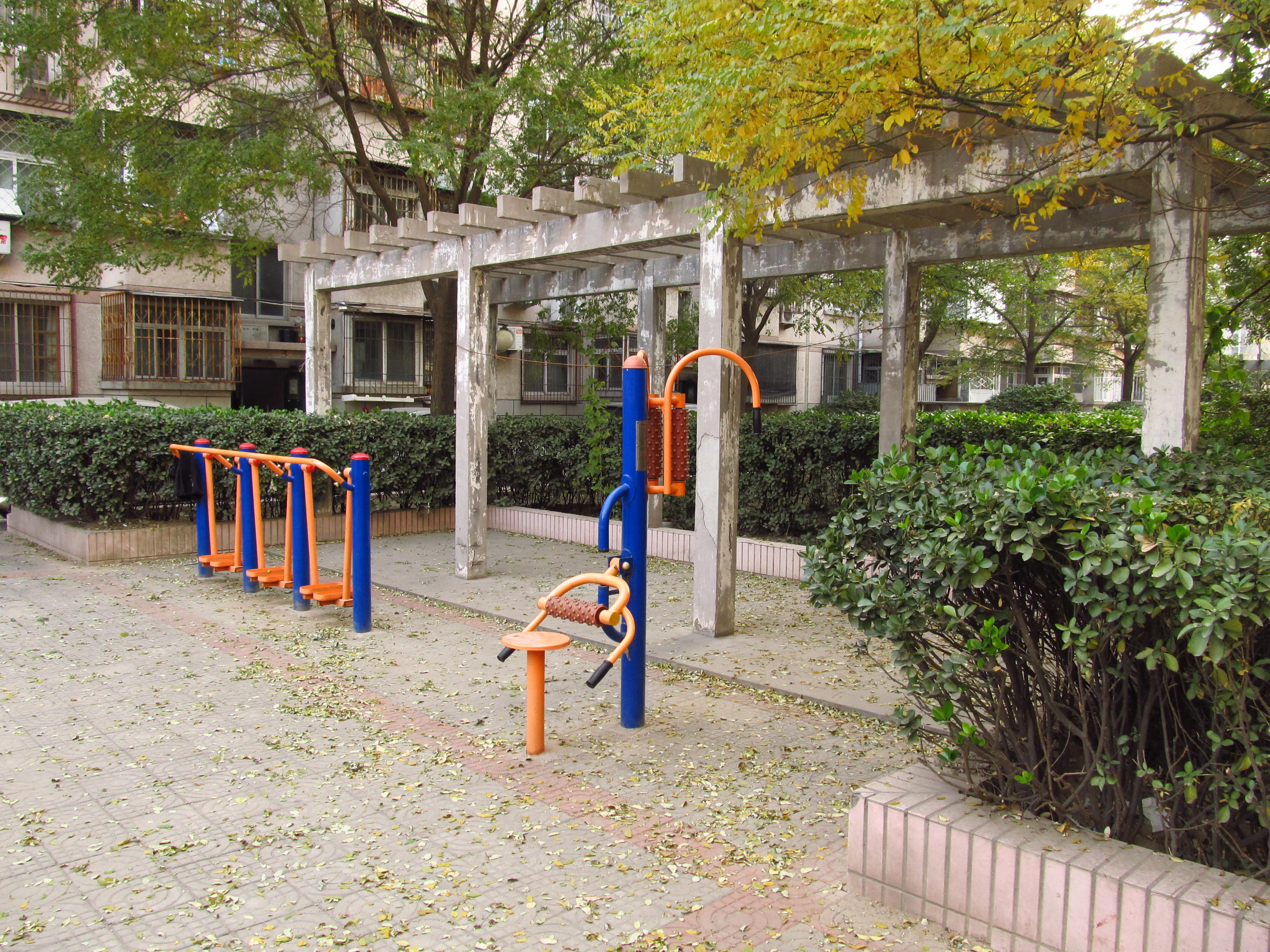 实景图