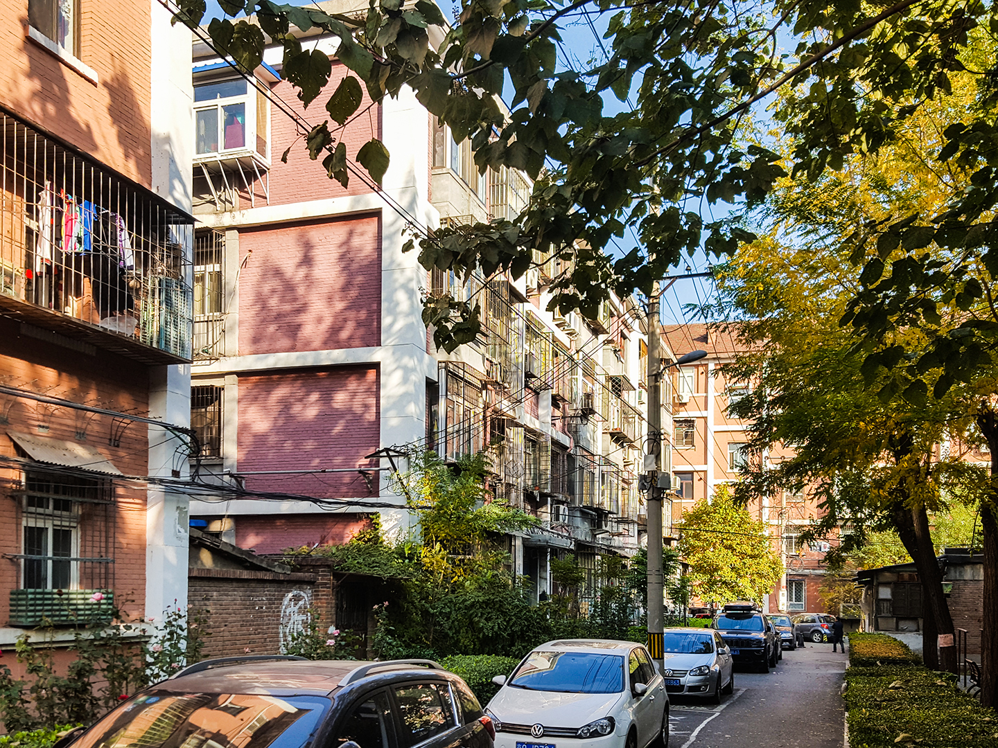 实景图