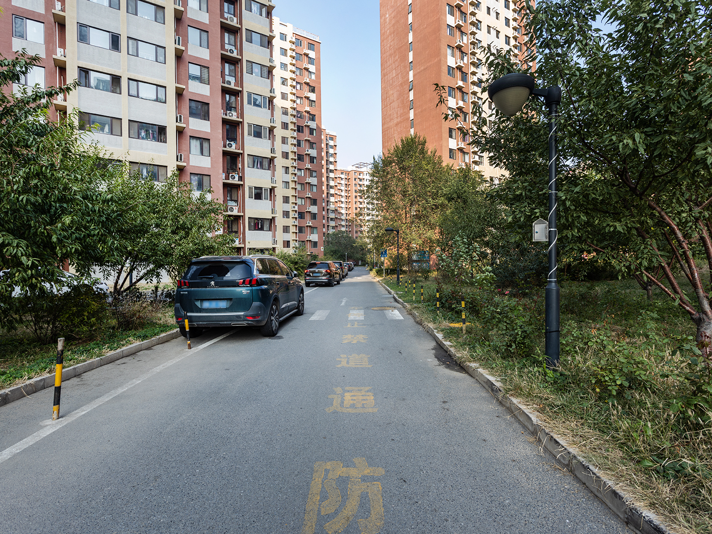 实景图