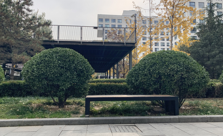 实景图