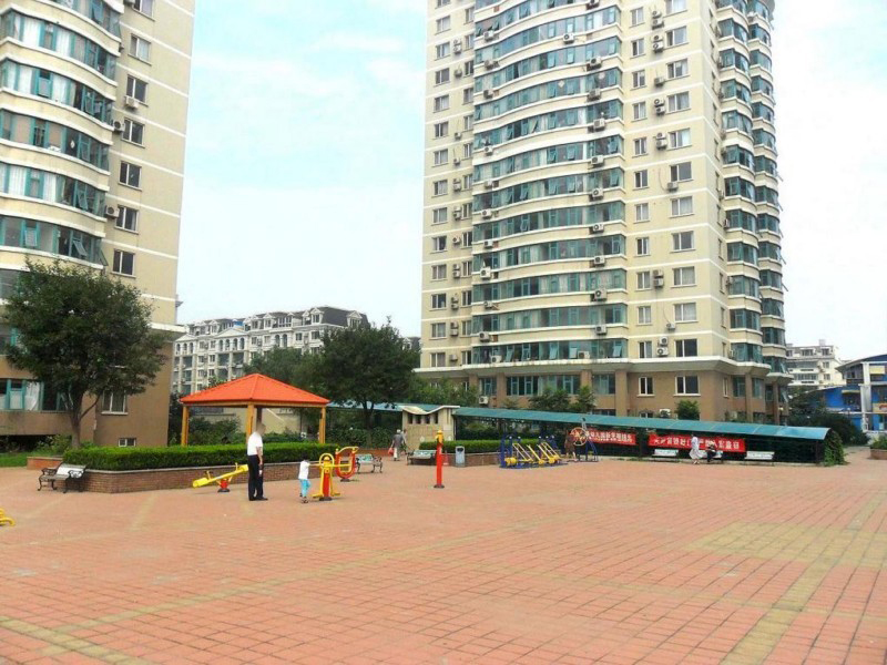 实景图