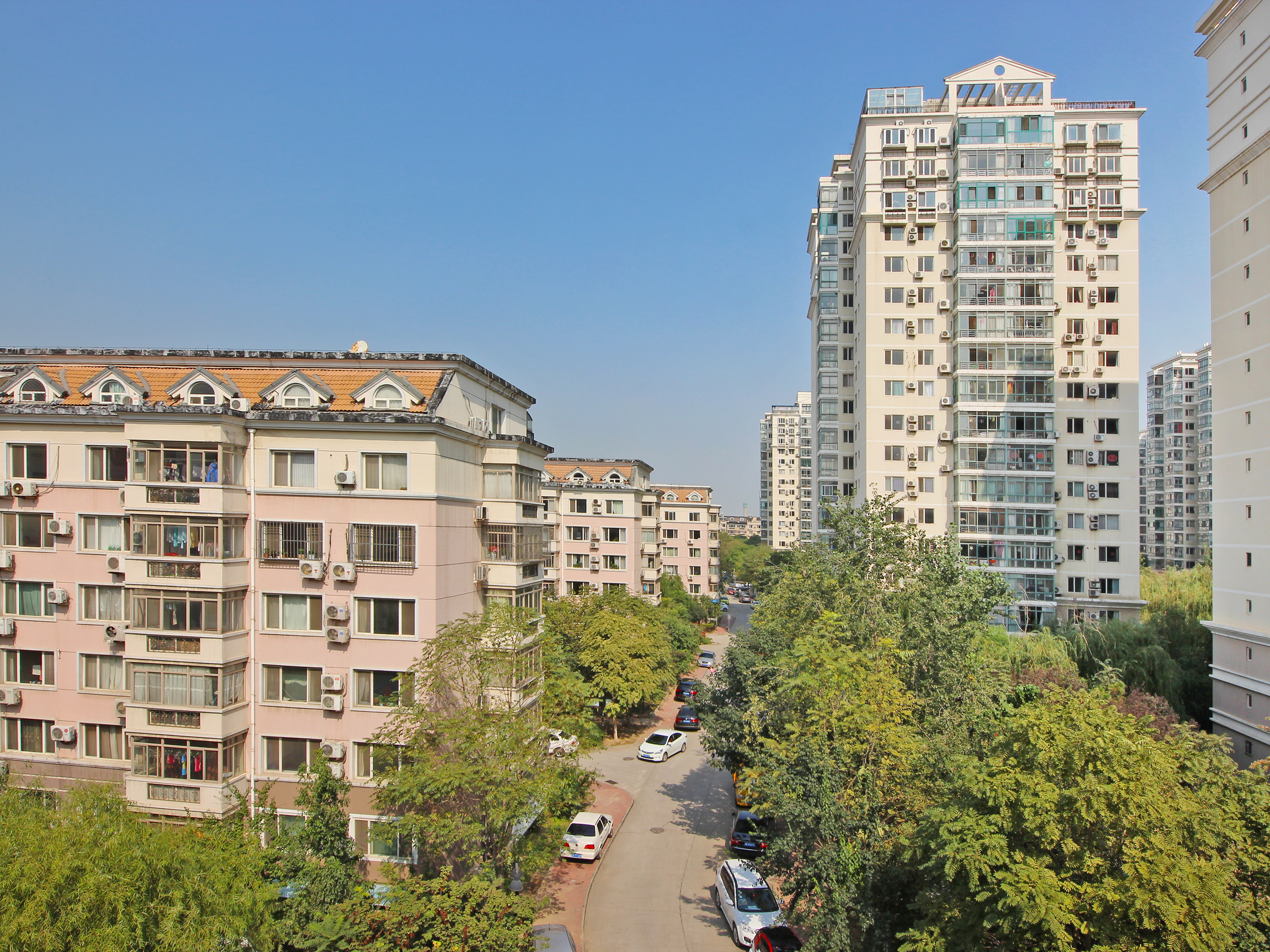 实景图