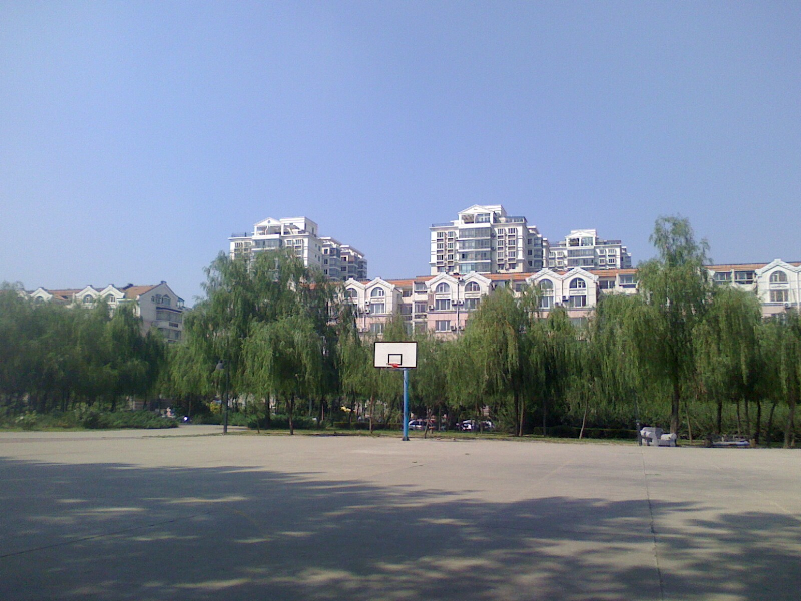 实景图