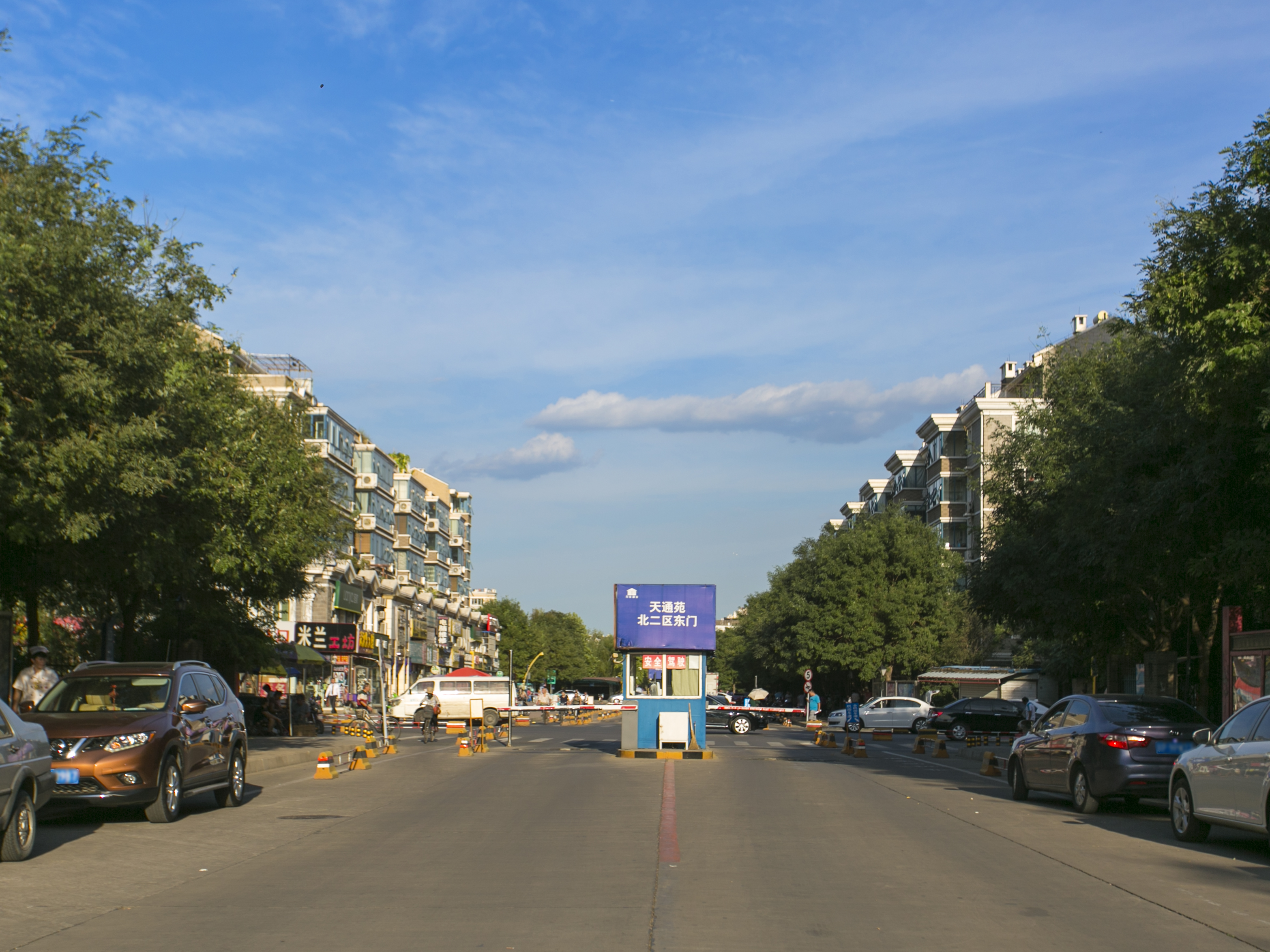 实景图