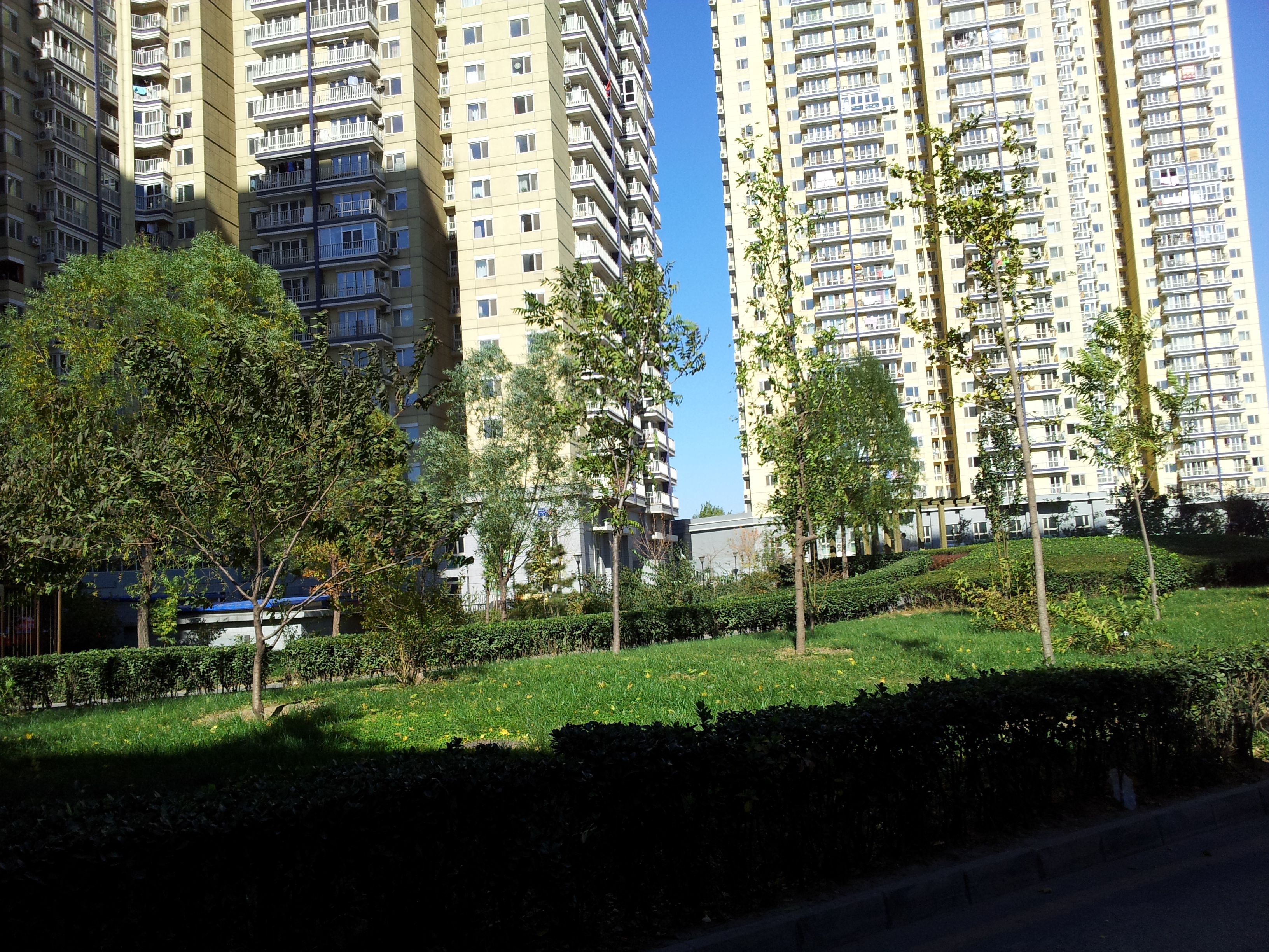 实景图