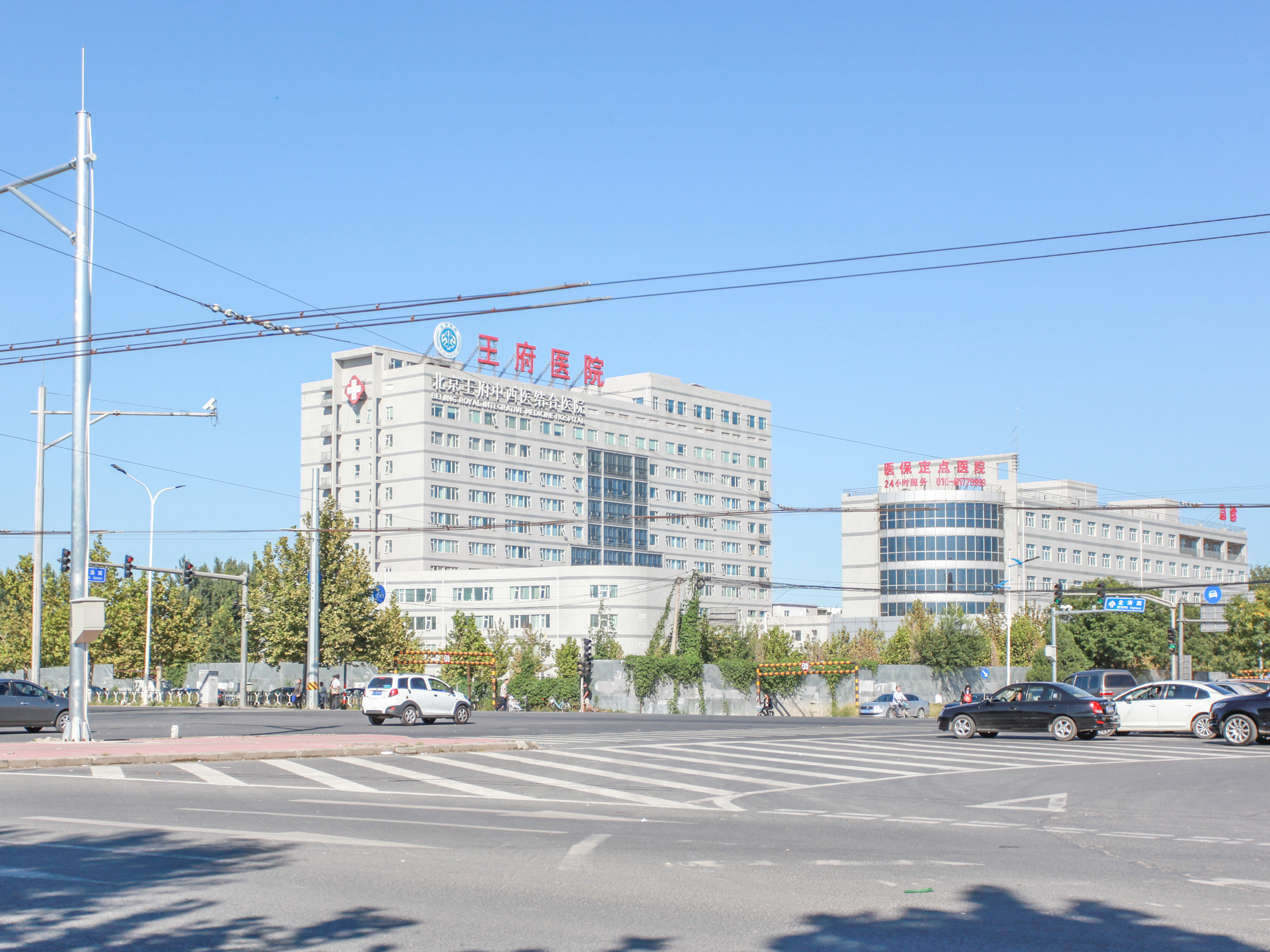 实景图