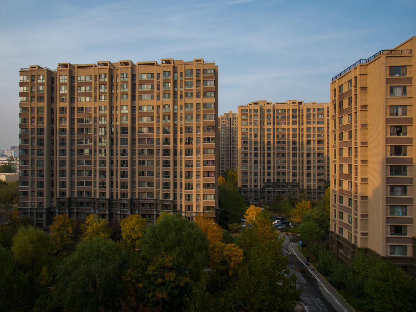 实景图