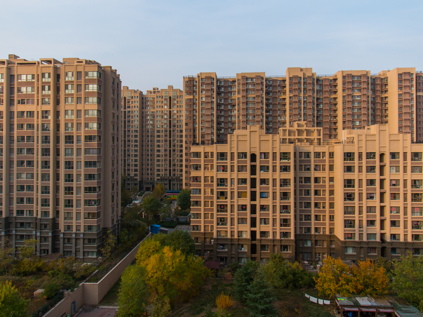 实景图