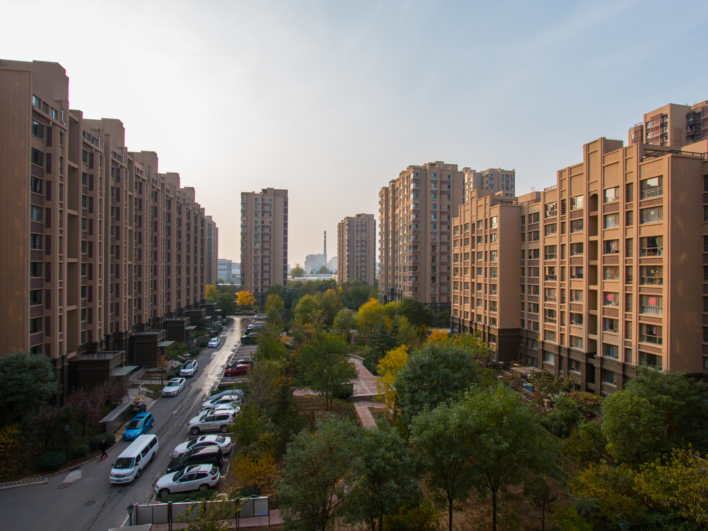 实景图
