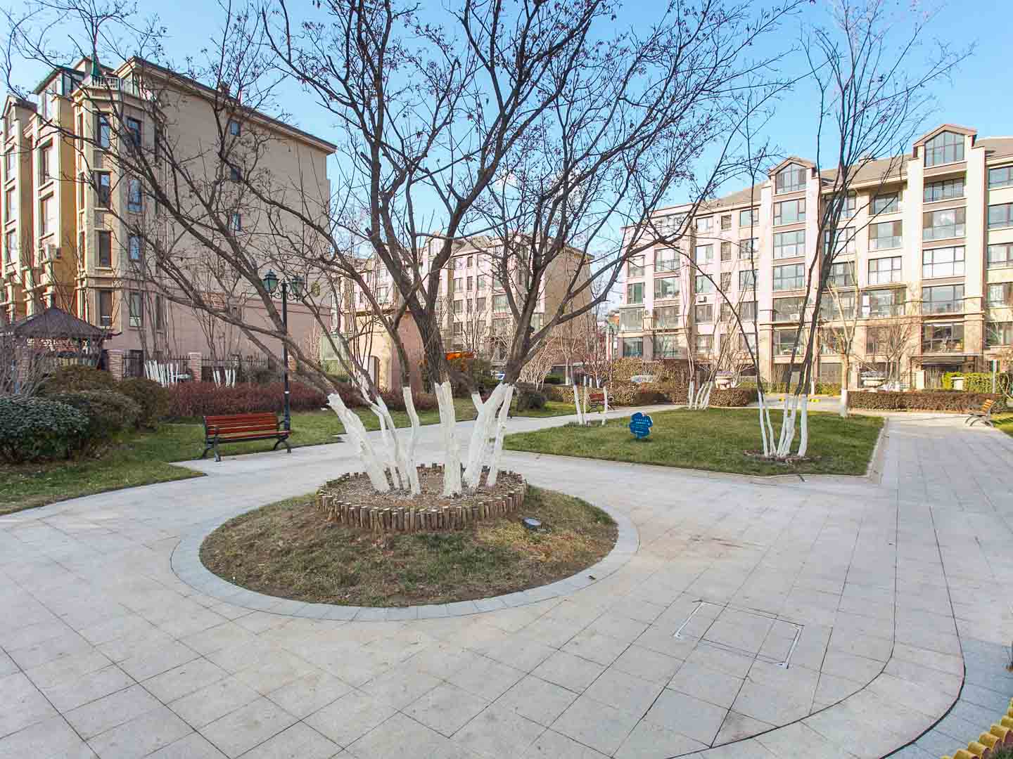 实景图
