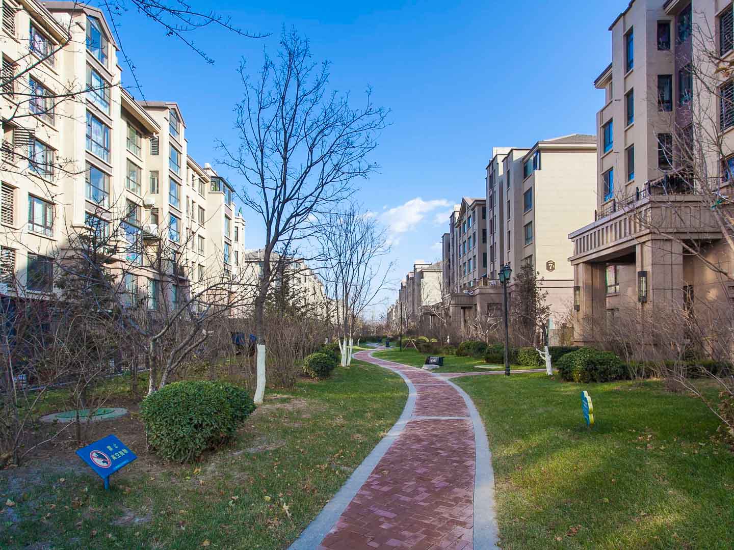 实景图