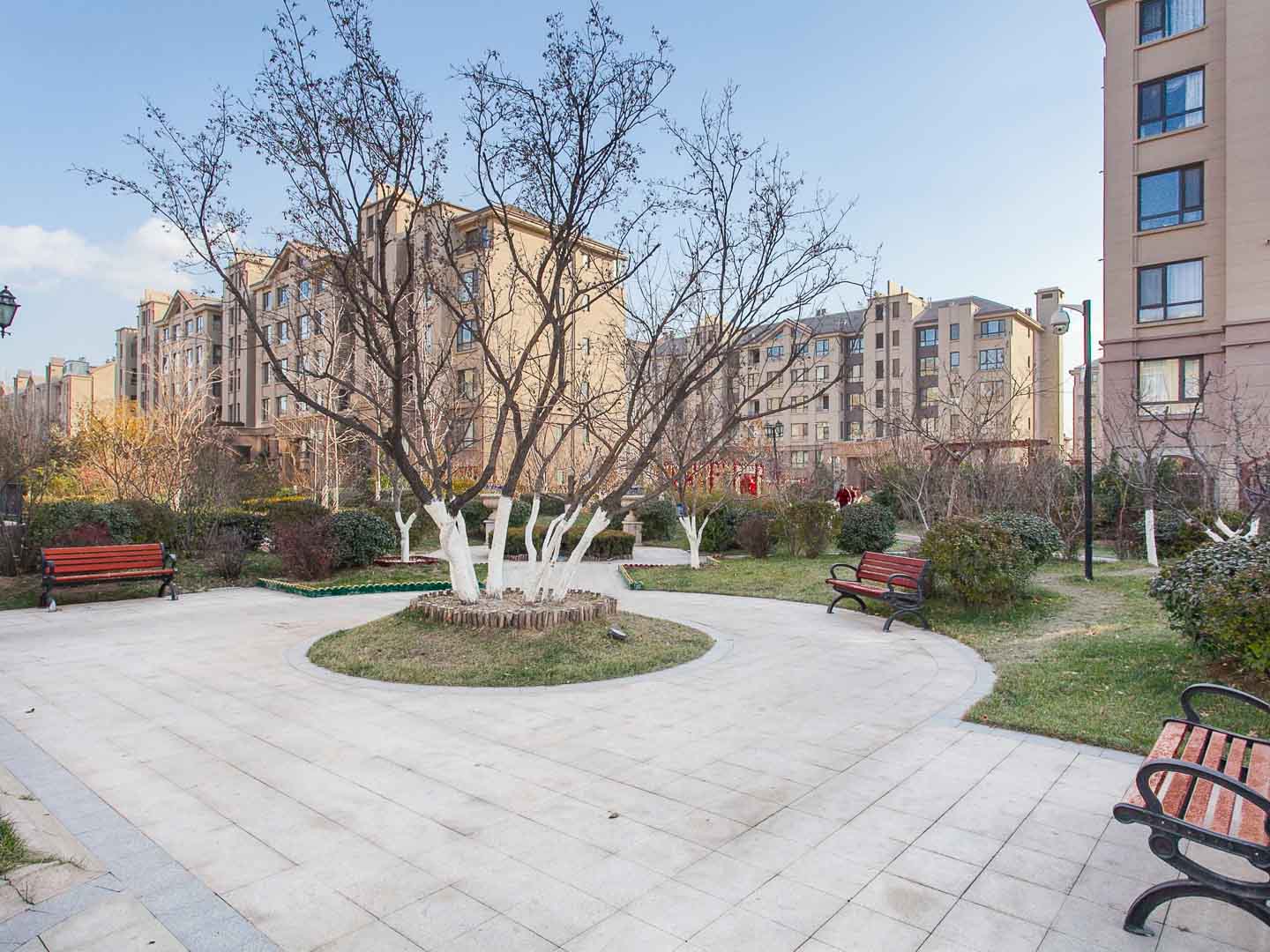 实景图