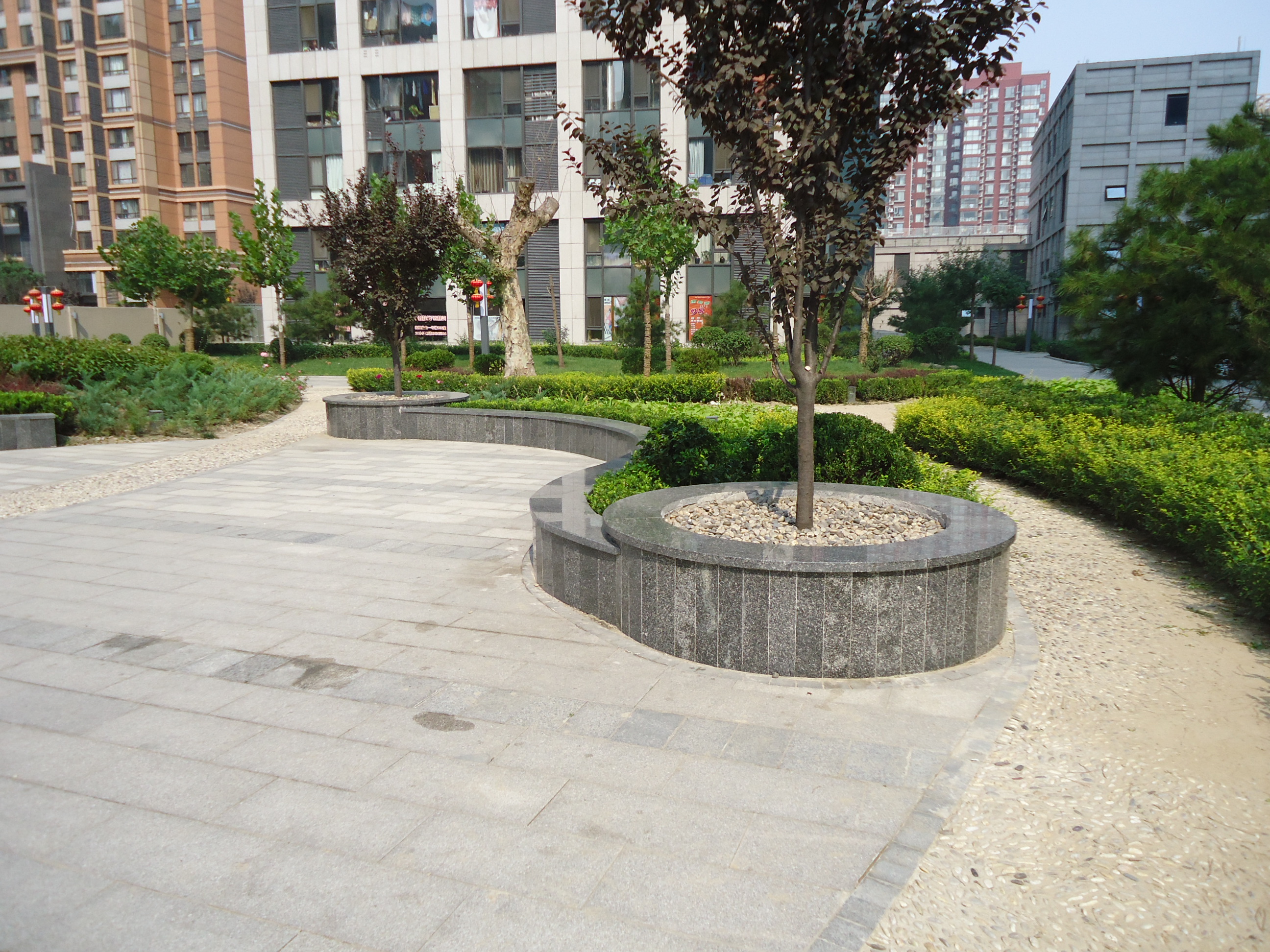 实景图