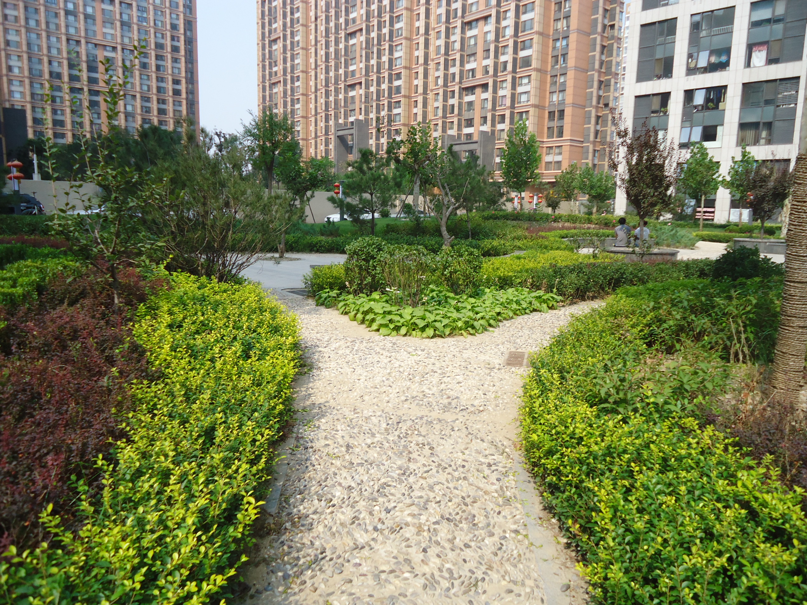 实景图
