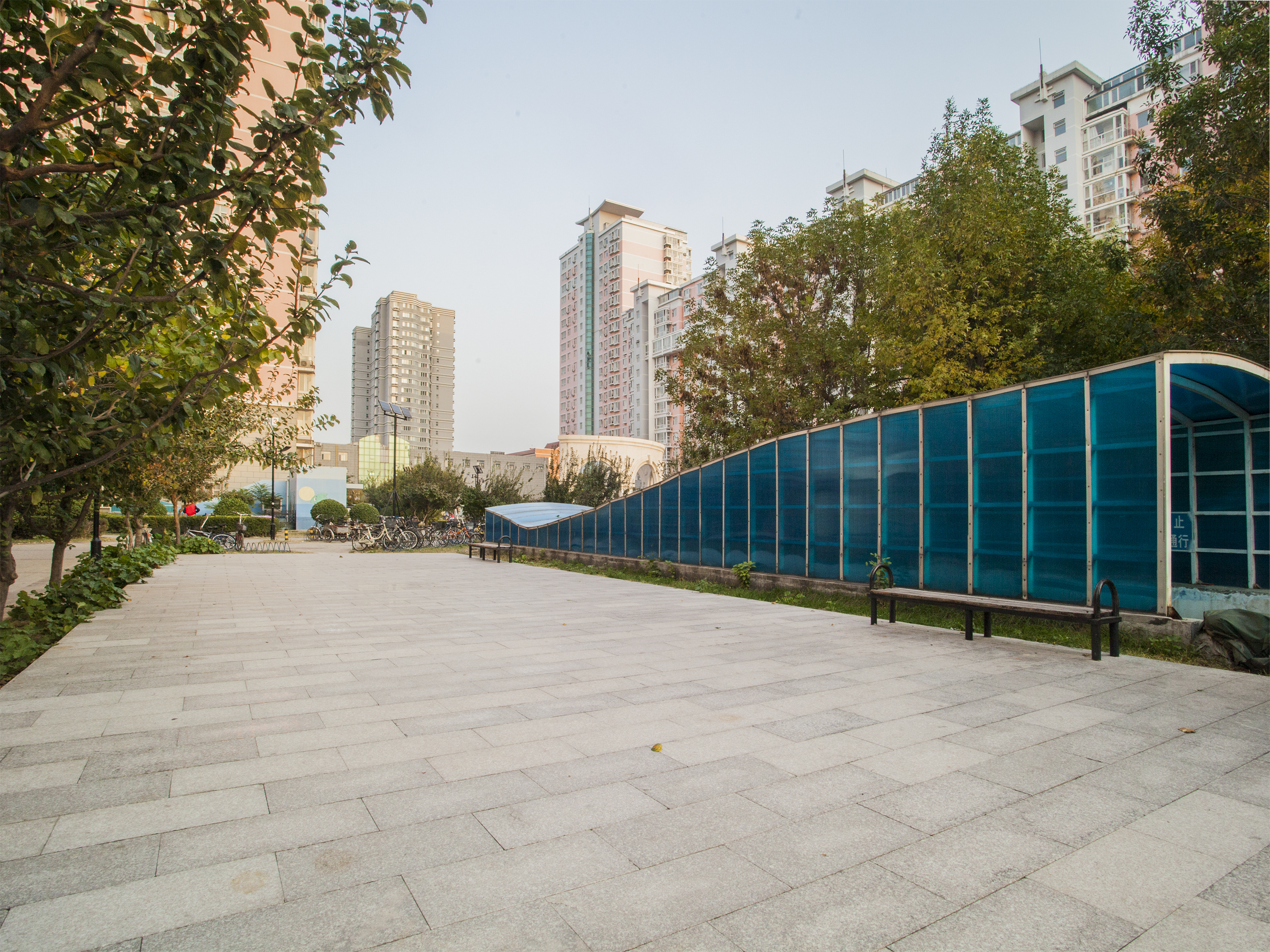 实景图