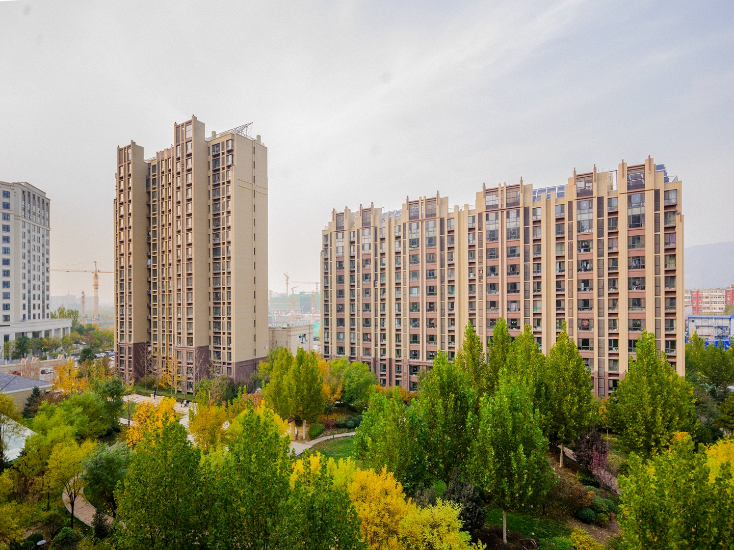 实景图