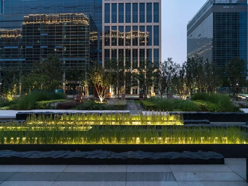实景图