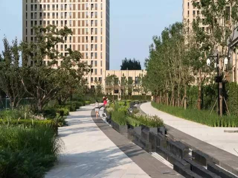 实景图
