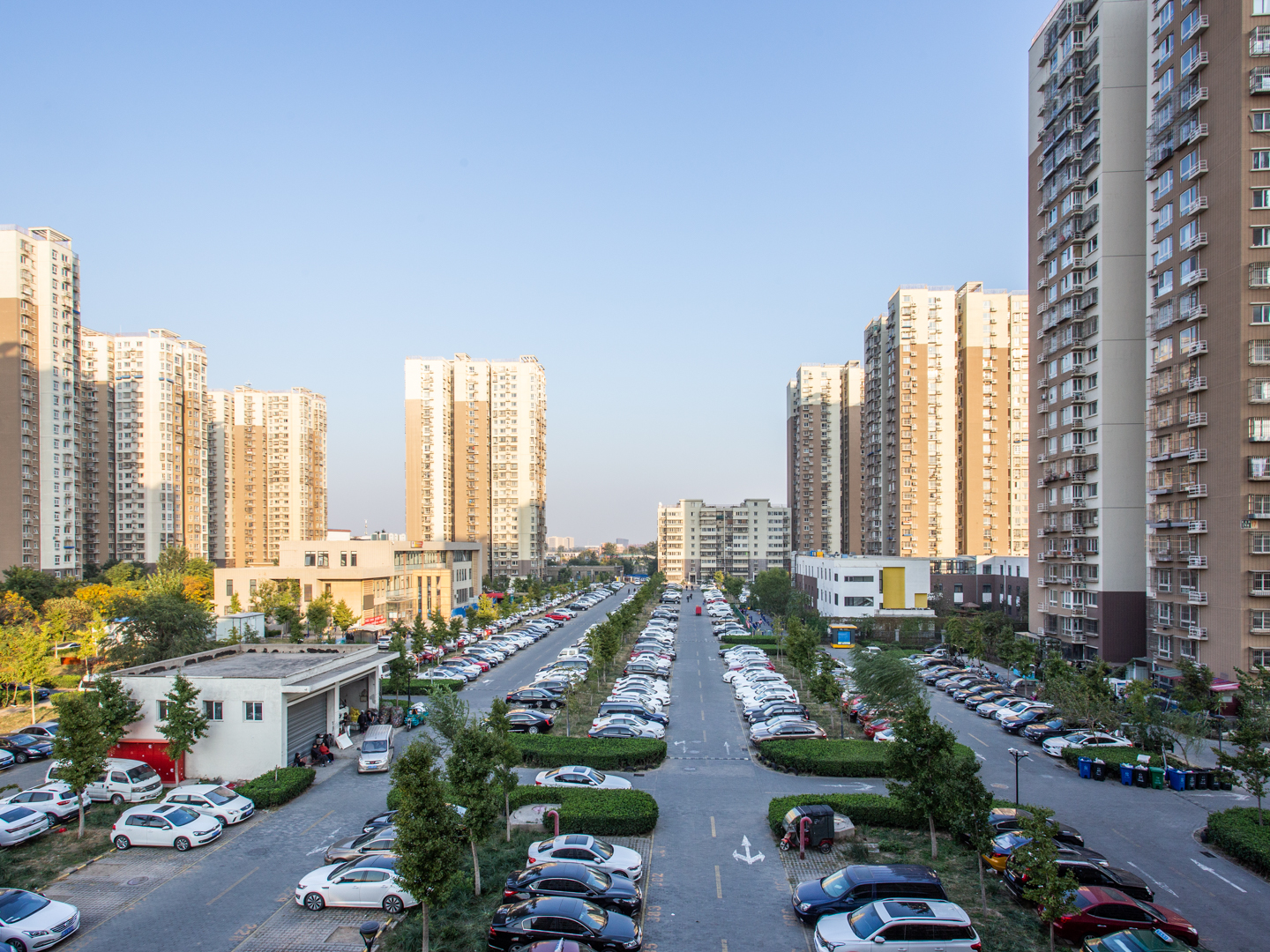 实景图
