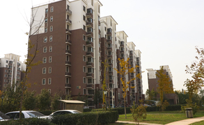 新兴家园4号楼1单元709室