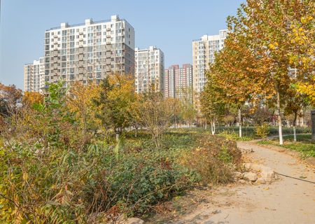 实景图